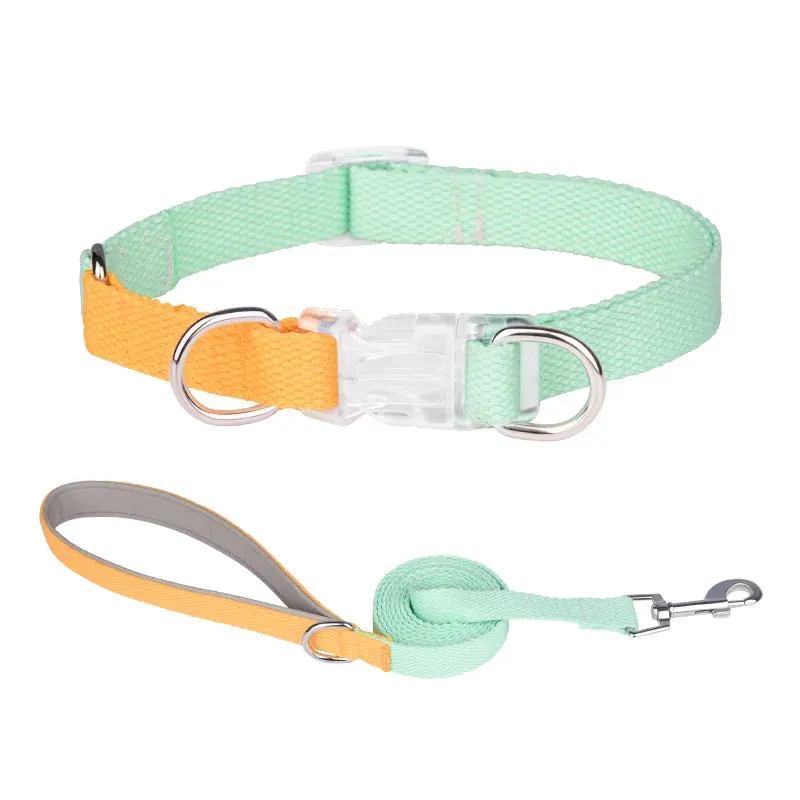 Adjustable Dog Harness and Leash Set for All Breeds