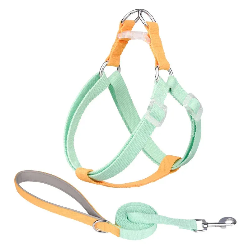 Adjustable Dog Harness and Leash Set for All Breeds