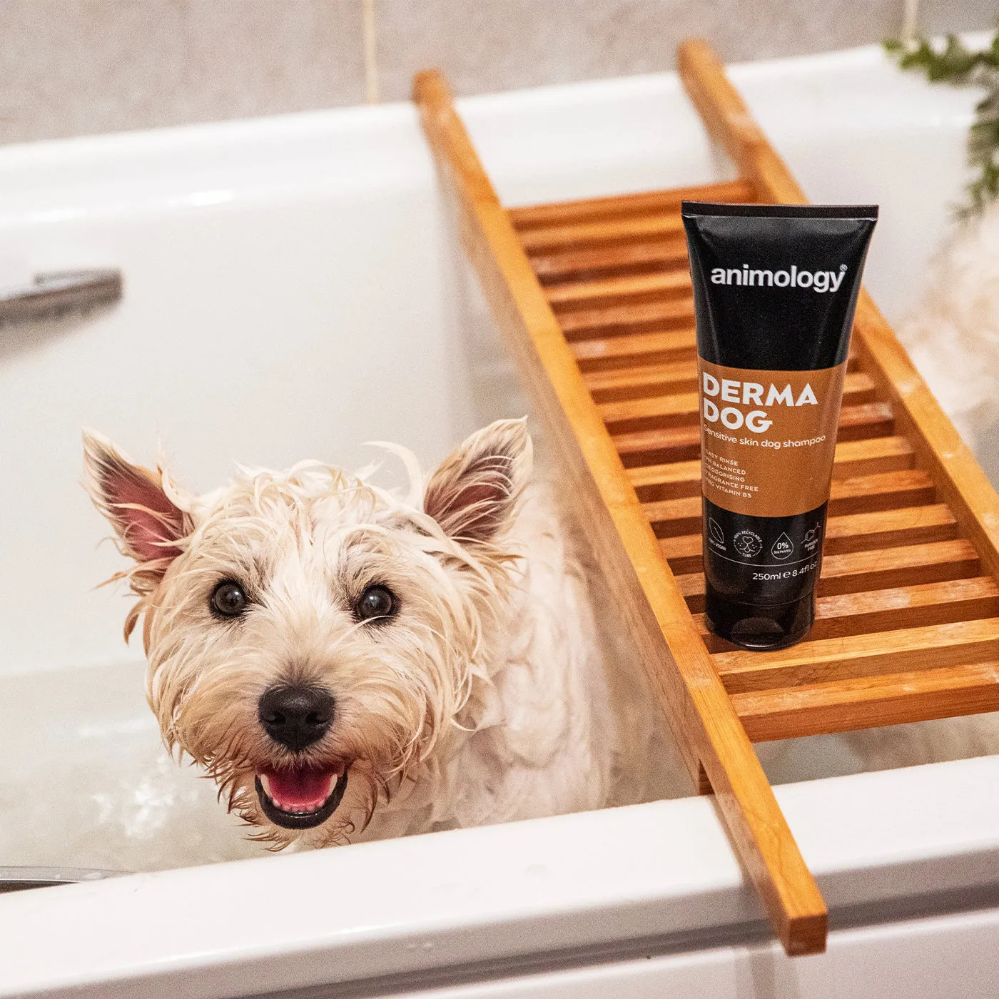 Animology Derma Dog Shampoo