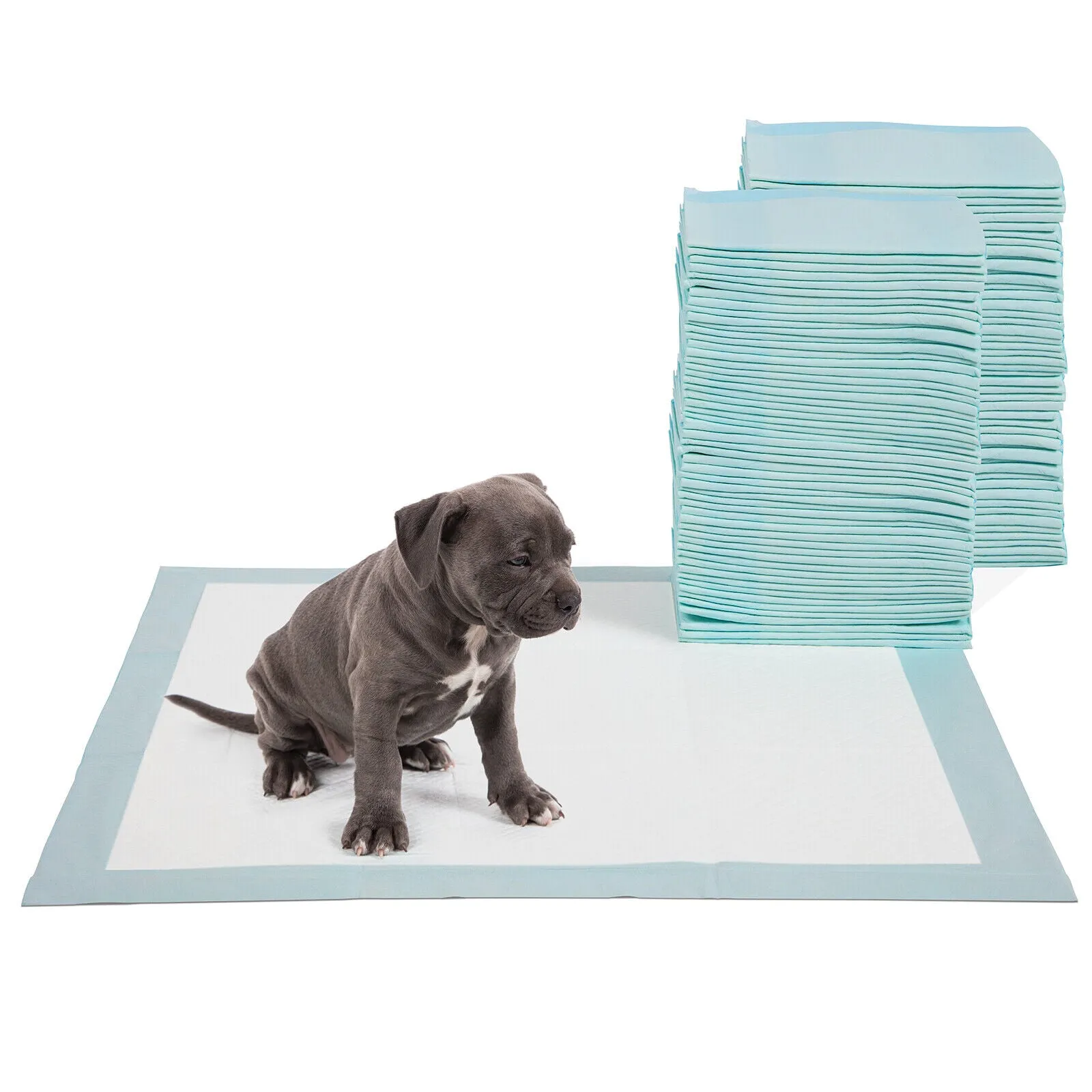 Four Paws Wee Wee Pads for Standard and Little Dogs, 72 Count