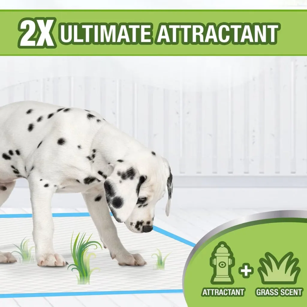 Four Paws Wee-Wee Ultimate Attractant Dog Pee Pads with Grass Scent - 22 x 23 inch