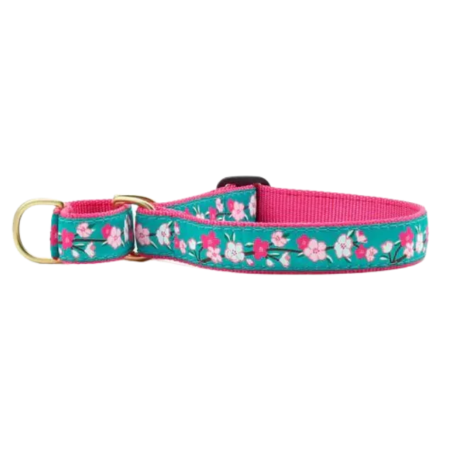 Martingale Collar | Cherry Blossom