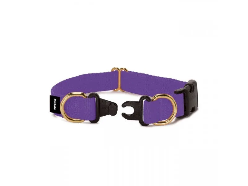 PetSafe Keep Safe Break Away Deep Purple Dog Collar