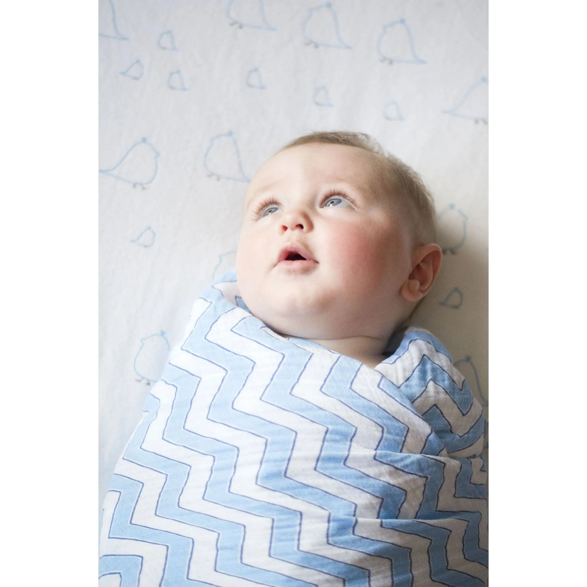 SwaddleDuo - Geo Floral & Chevron , Blue