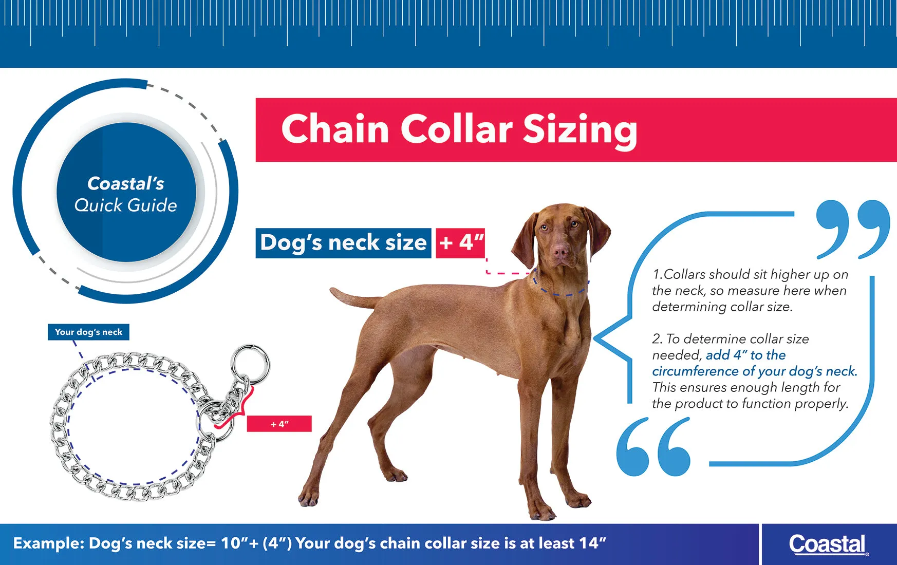 Titan Chain Training Dog Collar